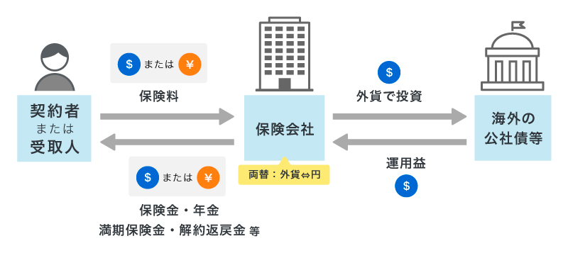 外貨建て保険の仕組み