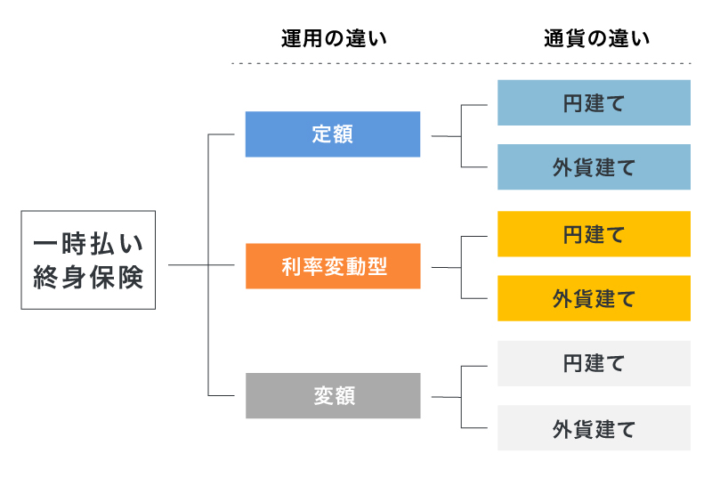 一時払い終身保険の分類と種類